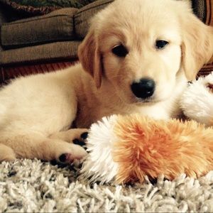 Meet your Posher, Cheryl